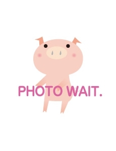 ヒビノ