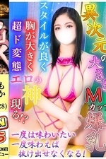 �⤫(28)�μ̿�