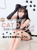 しろわい 仙台店の速報ニュース画像