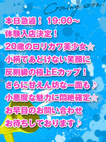 �θ�������(20)�μ̿�